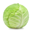 تصویر  Cabbage