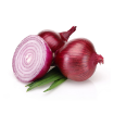 تصویر  Red Onion